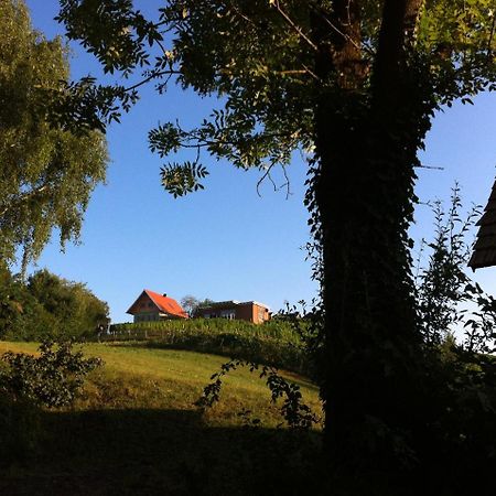 Ferienhaeuser Im Weingarten Fehring المظهر الخارجي الصورة