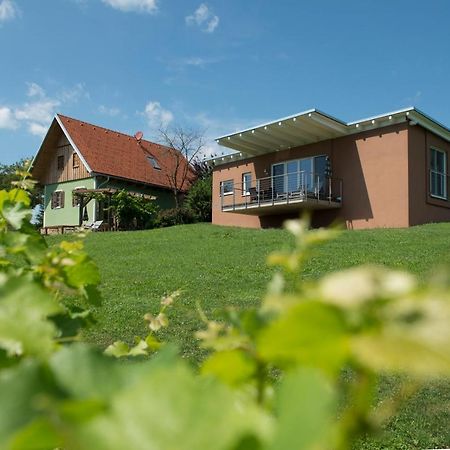 Ferienhaeuser Im Weingarten Fehring المظهر الخارجي الصورة